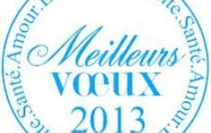 Meilleurs Voeux 2013 